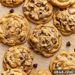 Overhead view of gluten-free chocolate chip cookies