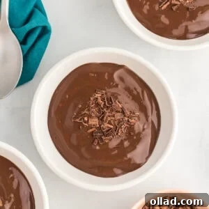 Bowls of rich dairy-free chocolate pudding topped with shaved chocolate, ready to serve.
