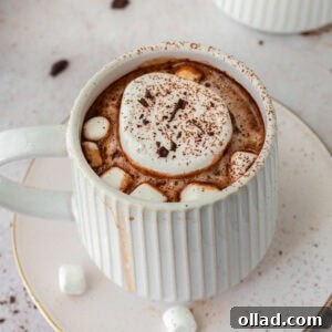 dair-free hot chocolate in a white mug on a white saucer with marshmallows and cocoa powder