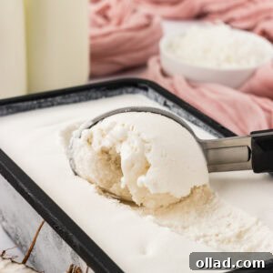 Scoop of creamy coconut sorbet in a loaf pan with shredded coconut and coconut milk in the background.